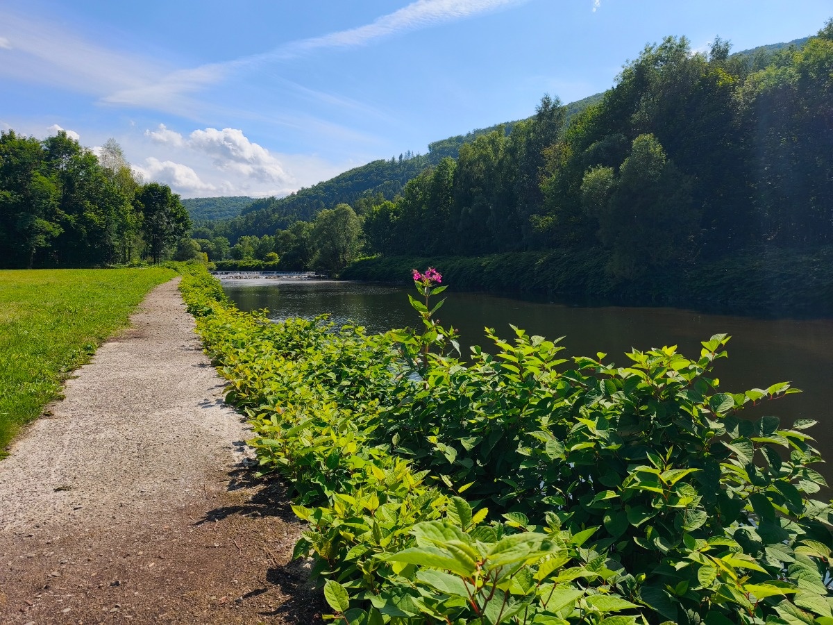 29ef4310-54bc-4cd1-8739-0bcea0687d44