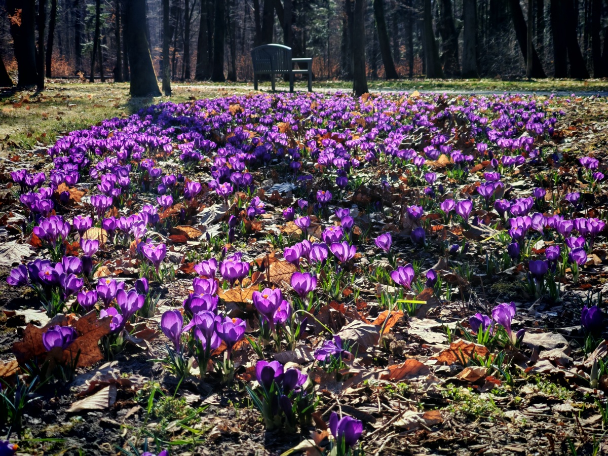 38975876-ee6b-4e38-bdf9-ba51ea4cb59f