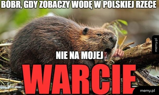 4072abd6-59cf-45ef-956f-af9376c48b6d