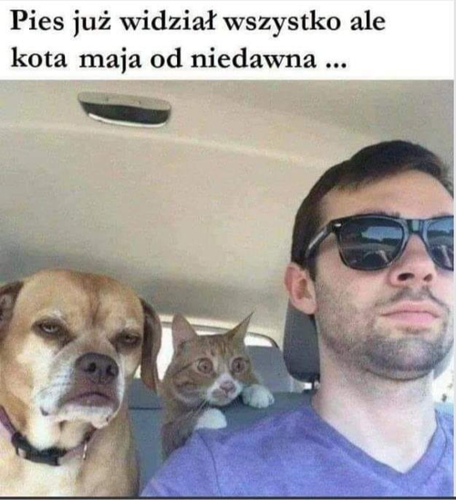 7c293808-8dd9-4905-ae23-89dafe1ce62d