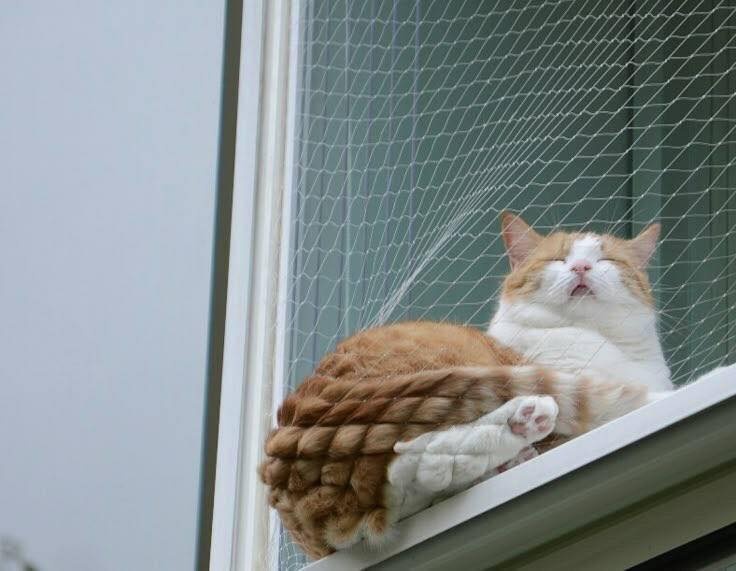 00396859-6947-431e-b569-066f67c5b5f3