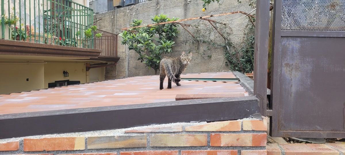 cd74c9a5-b9c8-448a-92a8-79183d8a6bc1