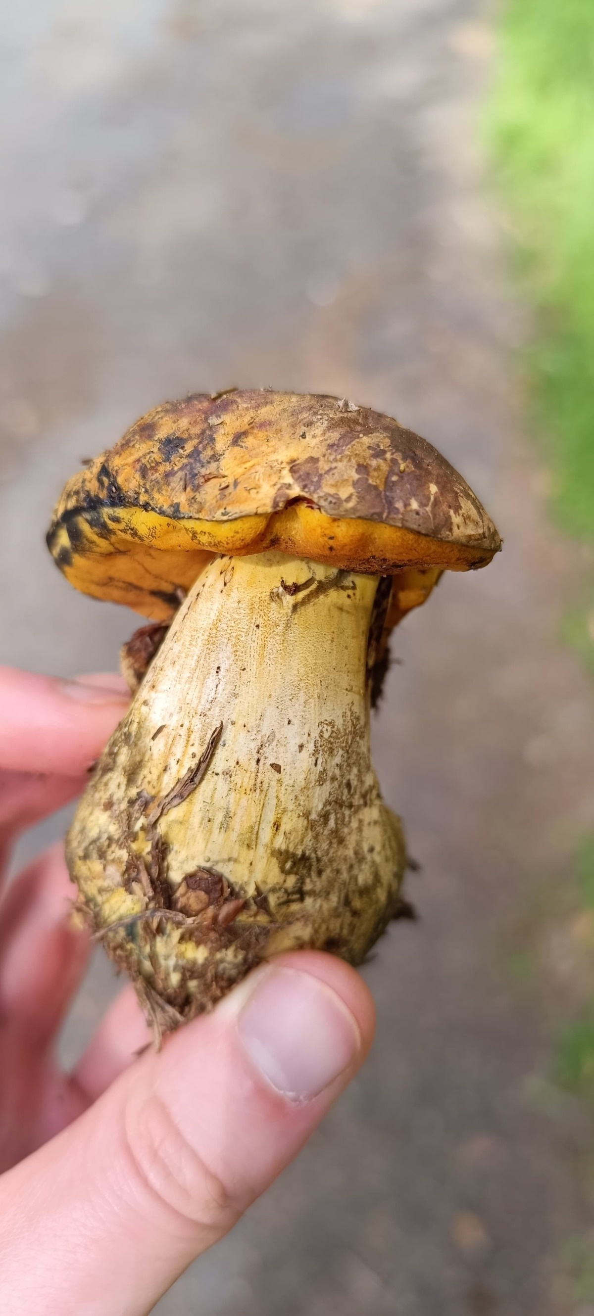 91046b37-6797-4712-b8ed-f251f1887f83