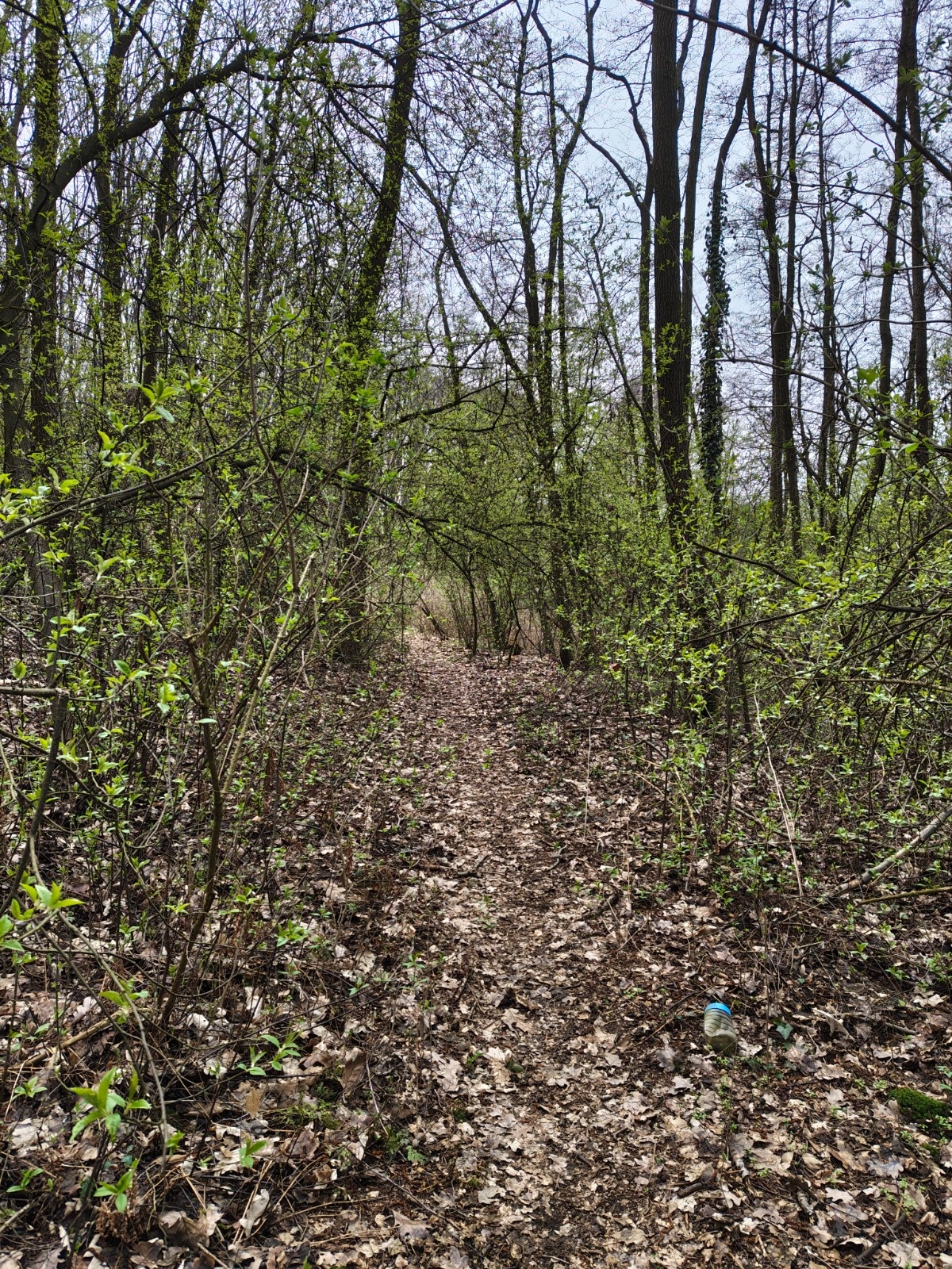 064b2141-79c7-492f-b9e3-5454af2cb35d