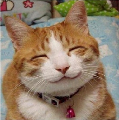 91deda14-57b2-43bf-86d2-adfd5b710fd5