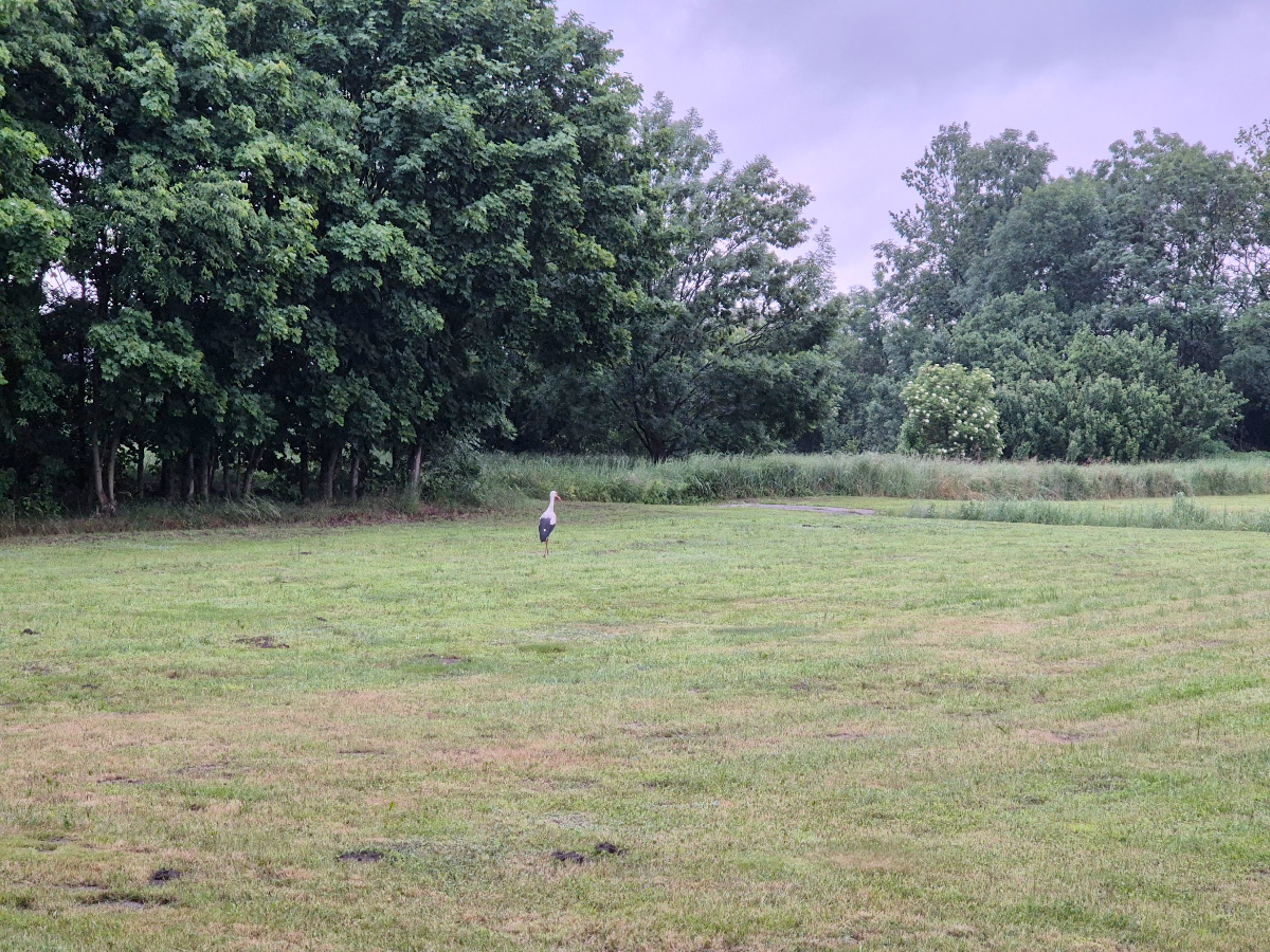 ed3f92ba-85d8-4ab8-a837-76fb69090f21