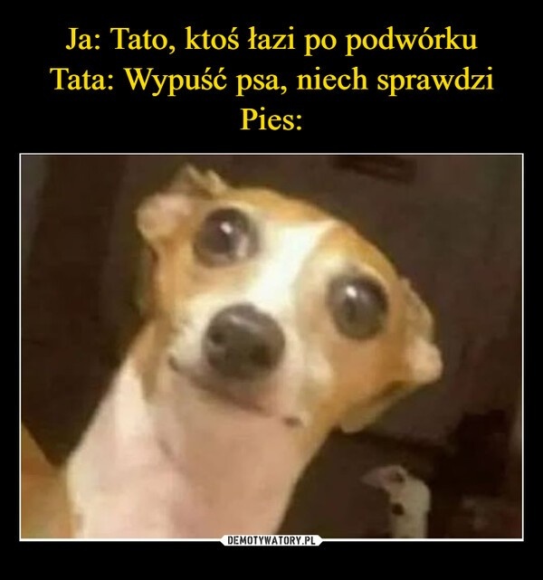 9ae408f0-227d-4c9a-8001-a78c6c6f7af3