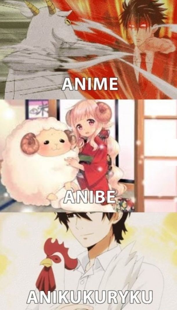 9ce7c3a6-8491-4bec-b9bb-75bc9311c555