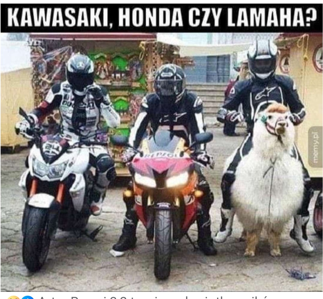 21f99904-0eb5-4627-8d71-4fa4abf56a55