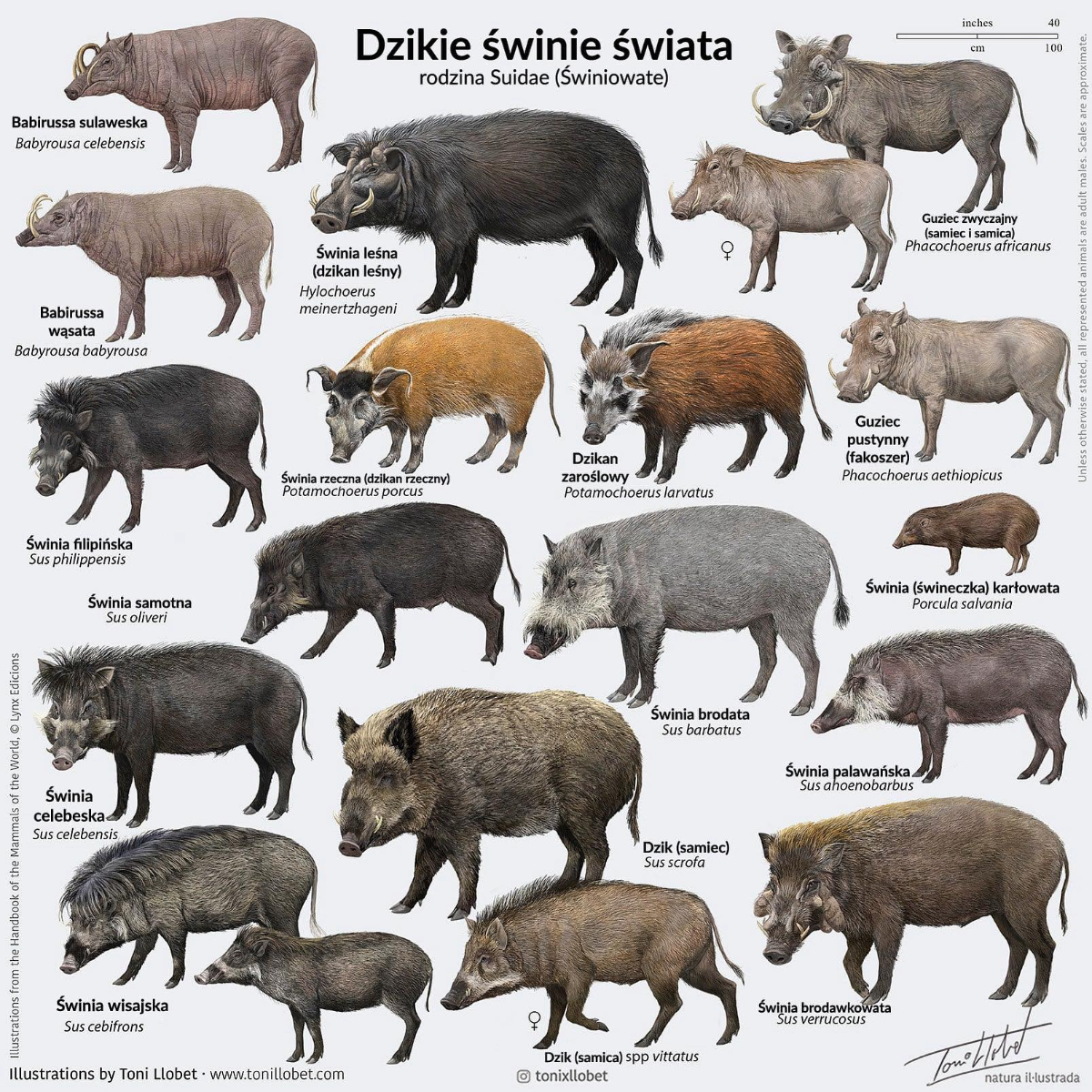 6b280763-57fe-4668-8662-faed340f03e1