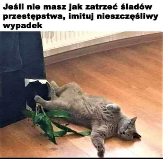 4bf20dc2-f770-4d7f-af74-fb75d396c22c