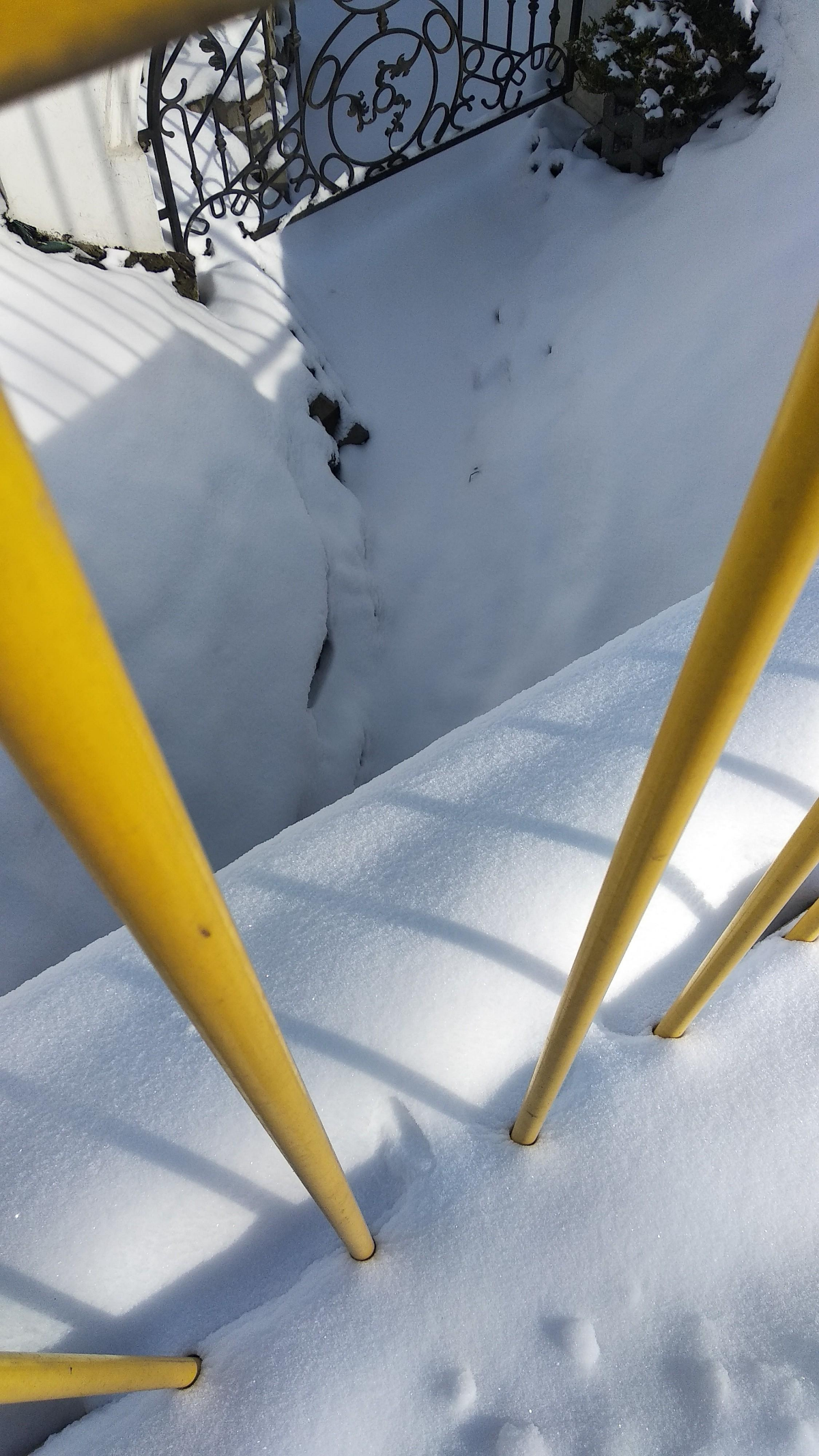 1e10134d-4fb0-4529-b869-d78b2e446af7