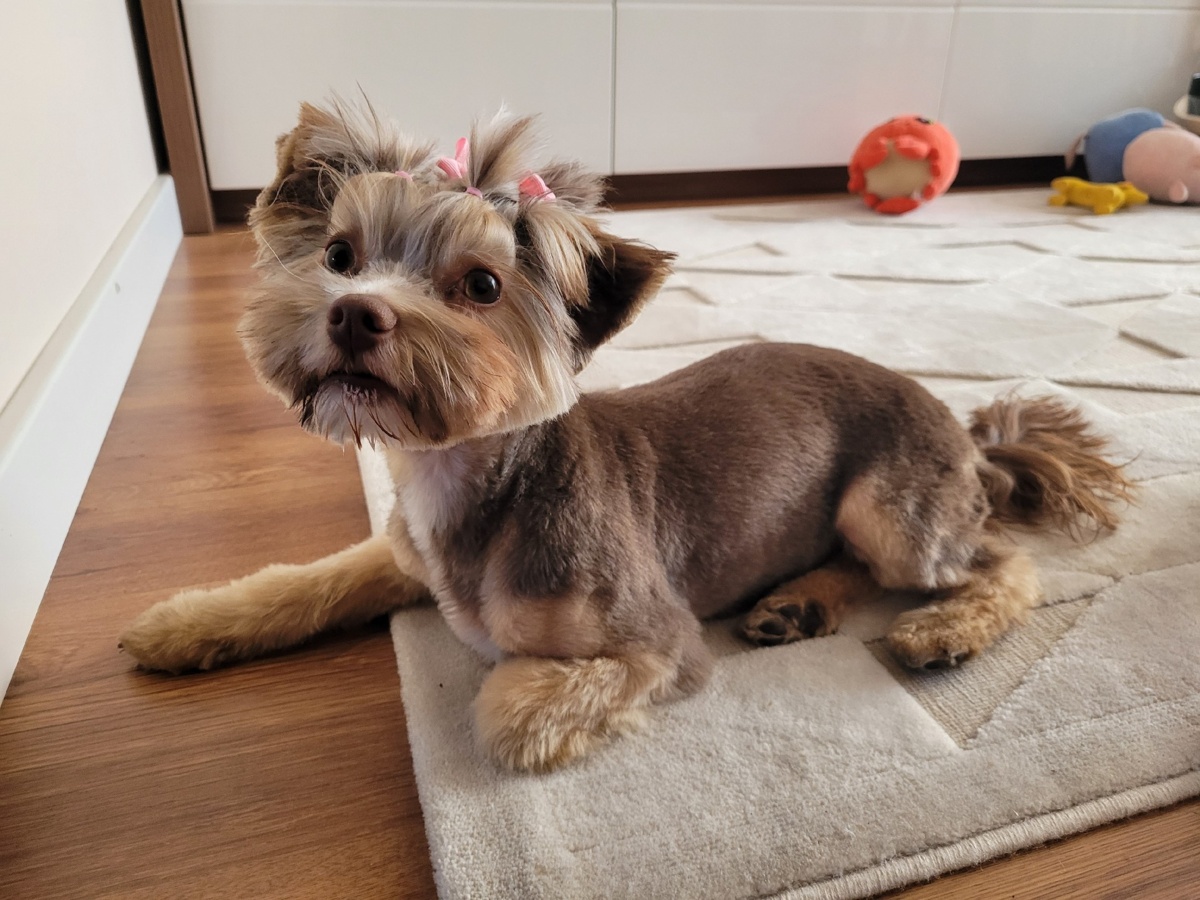 ab8f17ab-1cca-4812-b6a0-efea11d492a6