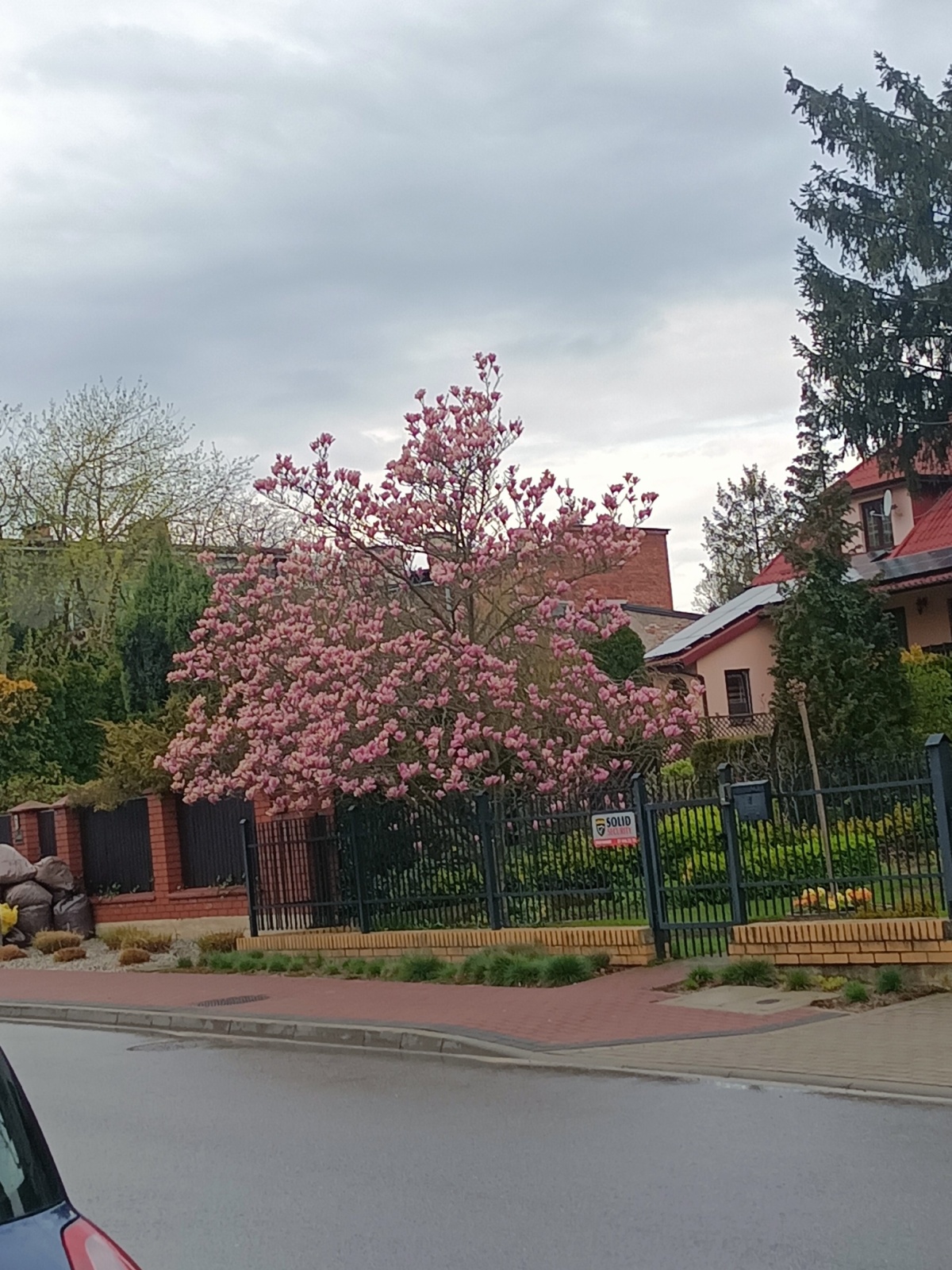 0ad0caae-6073-4c1b-ade0-0c9f6d34ba7c