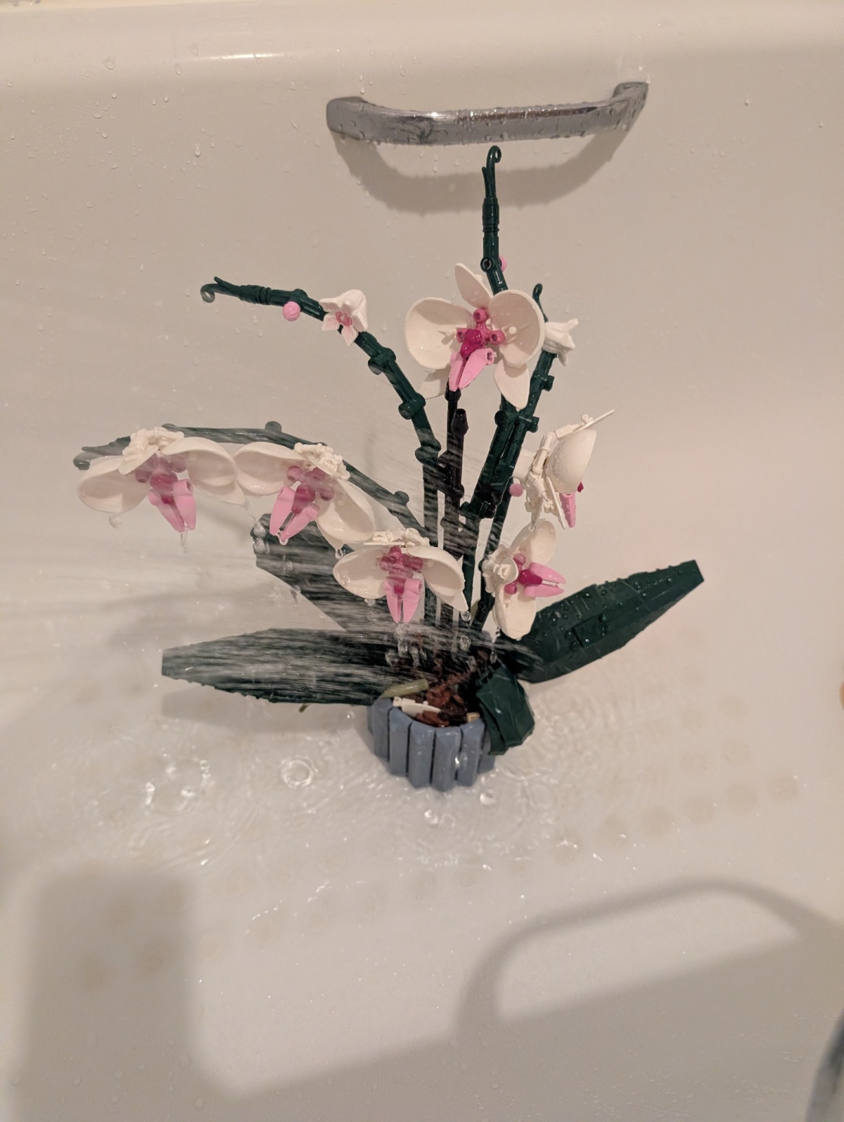 04e1ced9-e1c9-4075-8eda-413209085a1f