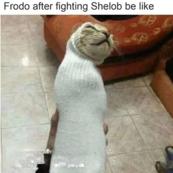 5fbb8ea5-236c-41b9-bad9-22f439380368