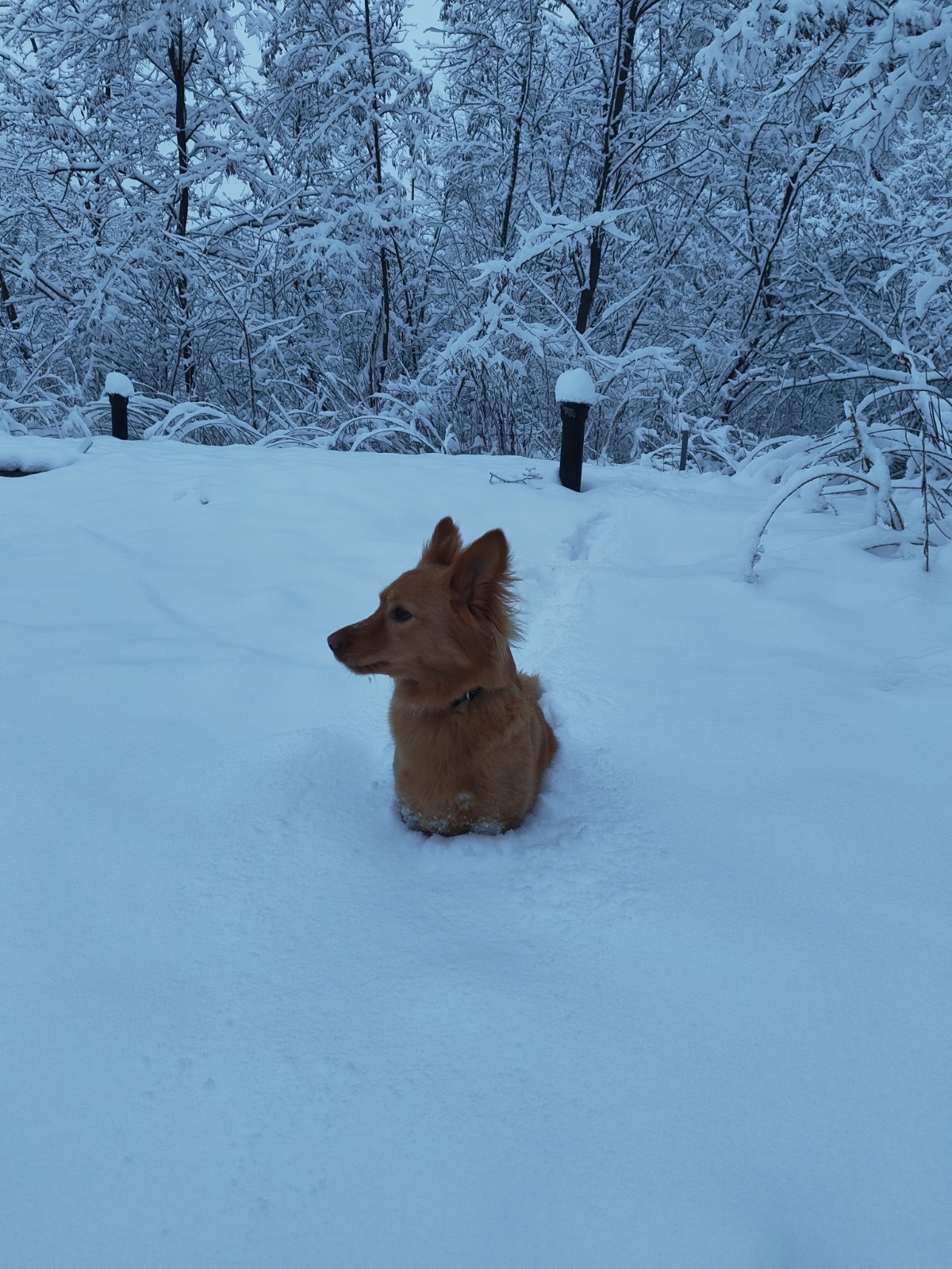 c09060d0-5c35-4ce1-b11a-03abeff0c3db