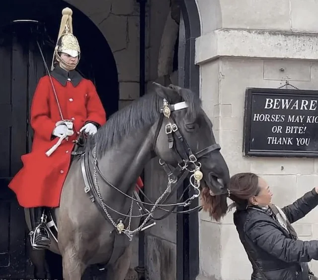 b5bef187-cb2f-4e1d-ab6c-a2b544342923