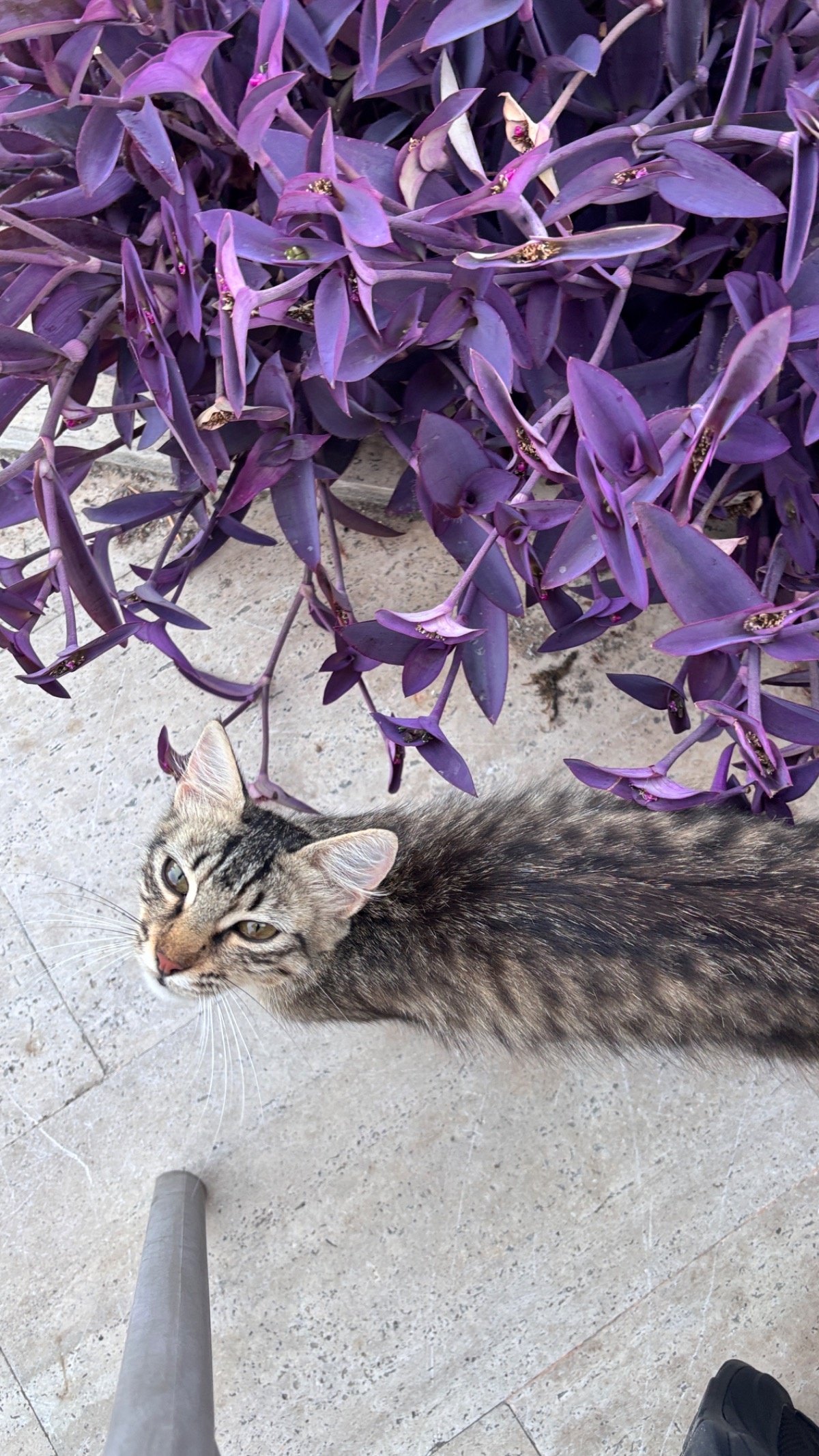 1a5f1d54-4266-4e84-97d0-f57df8dd66fd