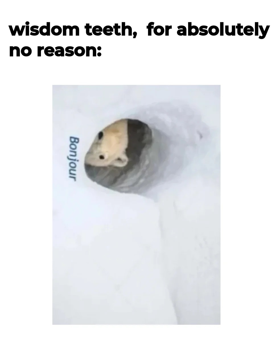 70c2449c-b40e-4ea0-8bbe-517997b3deb6