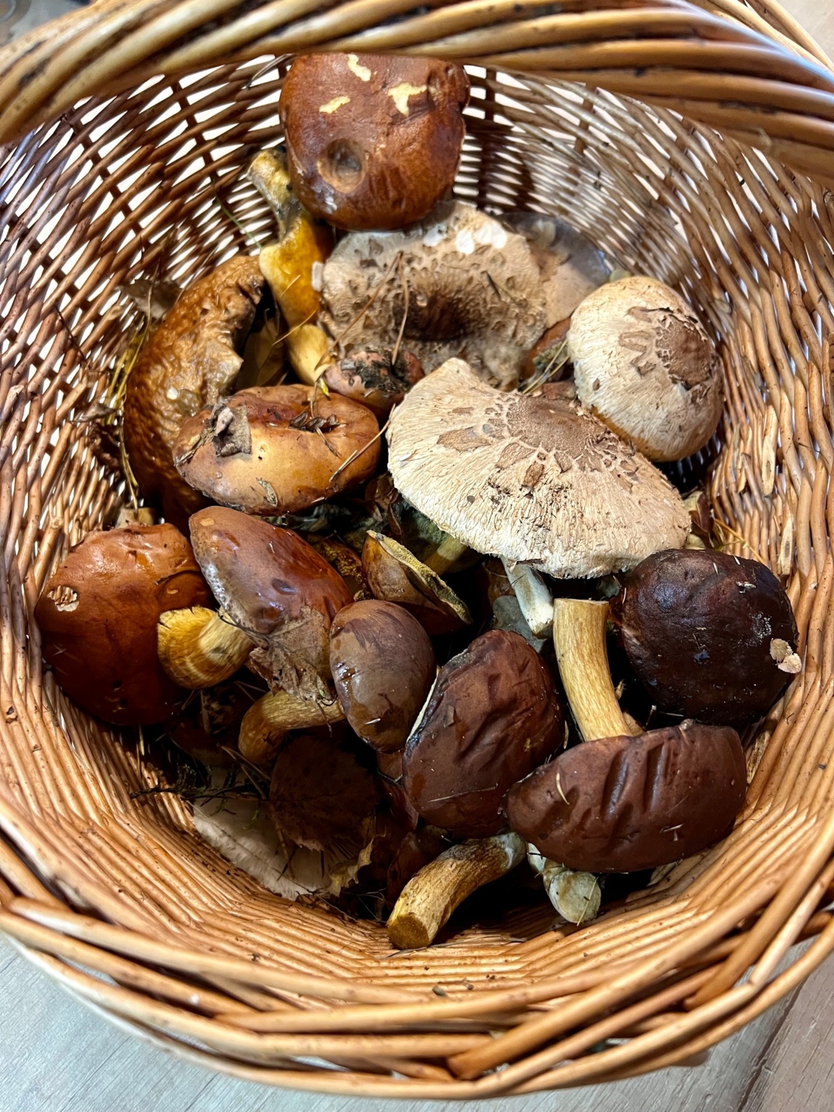 9e9e320b-6f5b-42df-a884-648e6976c9ed