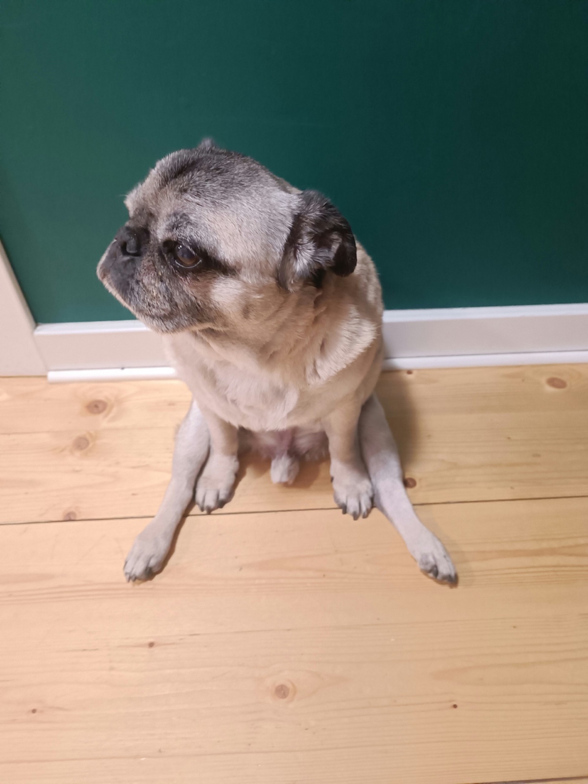 5ac41e67-bd33-4b8e-b642-8e7ad2877cdb