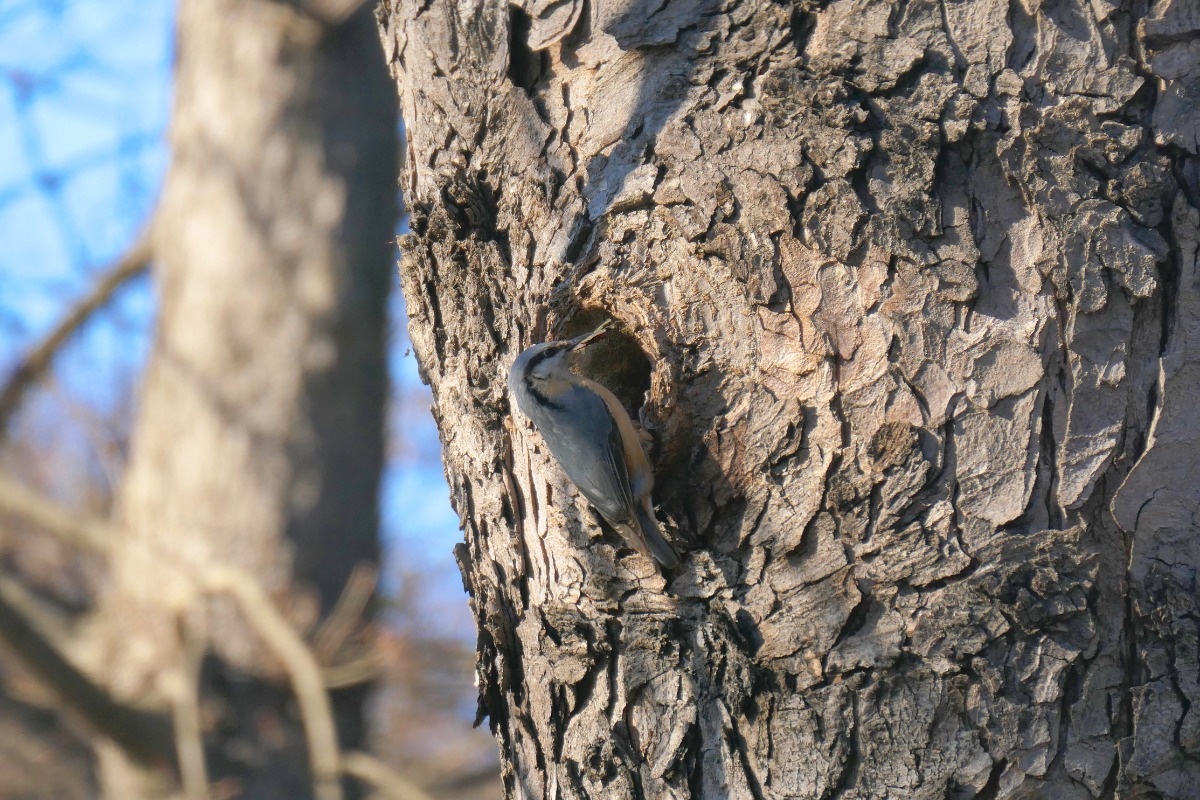 78f76556-f498-4bc1-8989-e97d6c555127