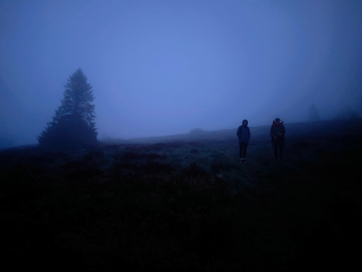 e2d0f4b9-0868-4dfd-b43b-d44ac71d487a