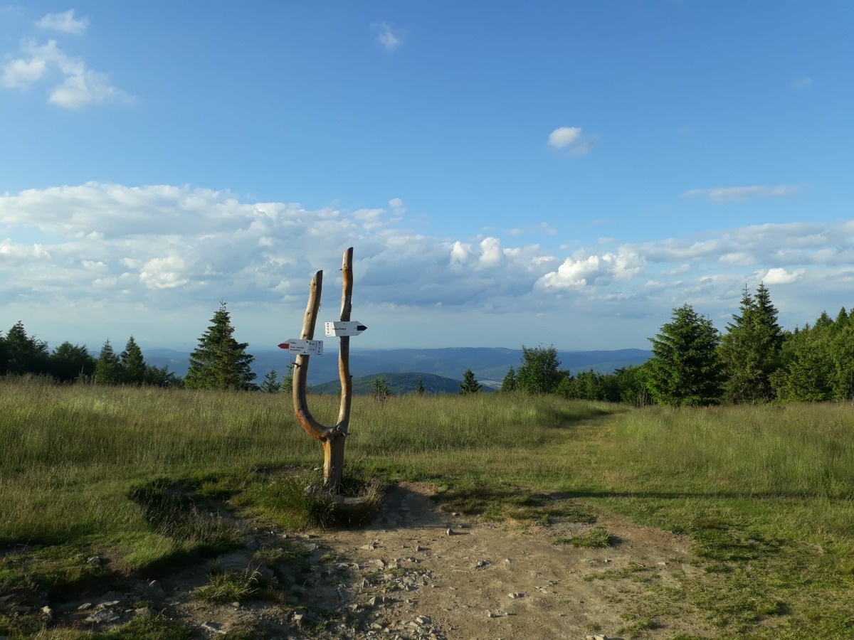 fc7bfaa5-155c-467f-b03e-b56edc81ba91