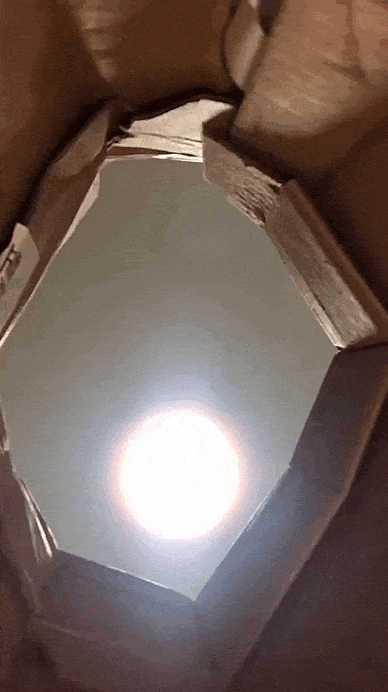 a66c81d1-12dd-4975-8191-e690de426352