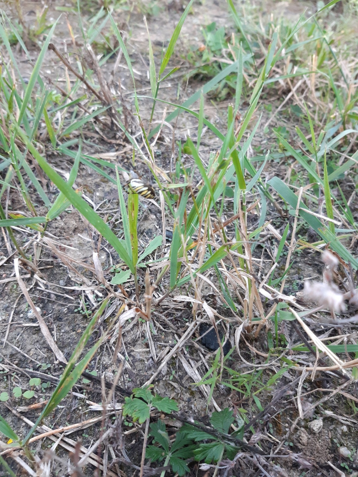 0509361e-e2bb-4bab-b790-7358ec7a5987