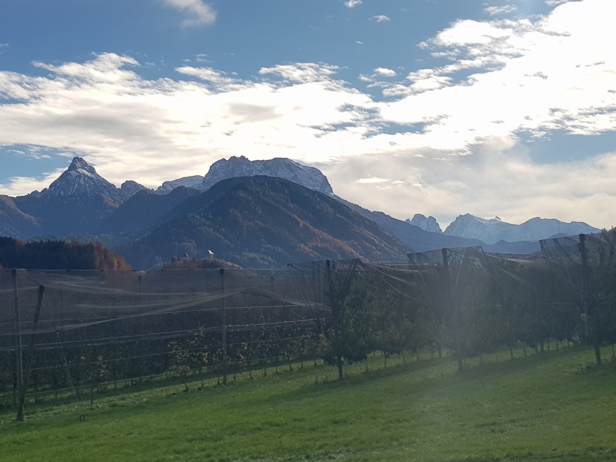 8a2e4ae0-1c1e-4678-a926-3212b4417580