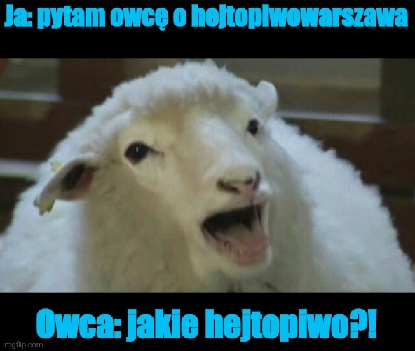 07b2c5bf-af5e-4d63-beb3-fa2bd140660a