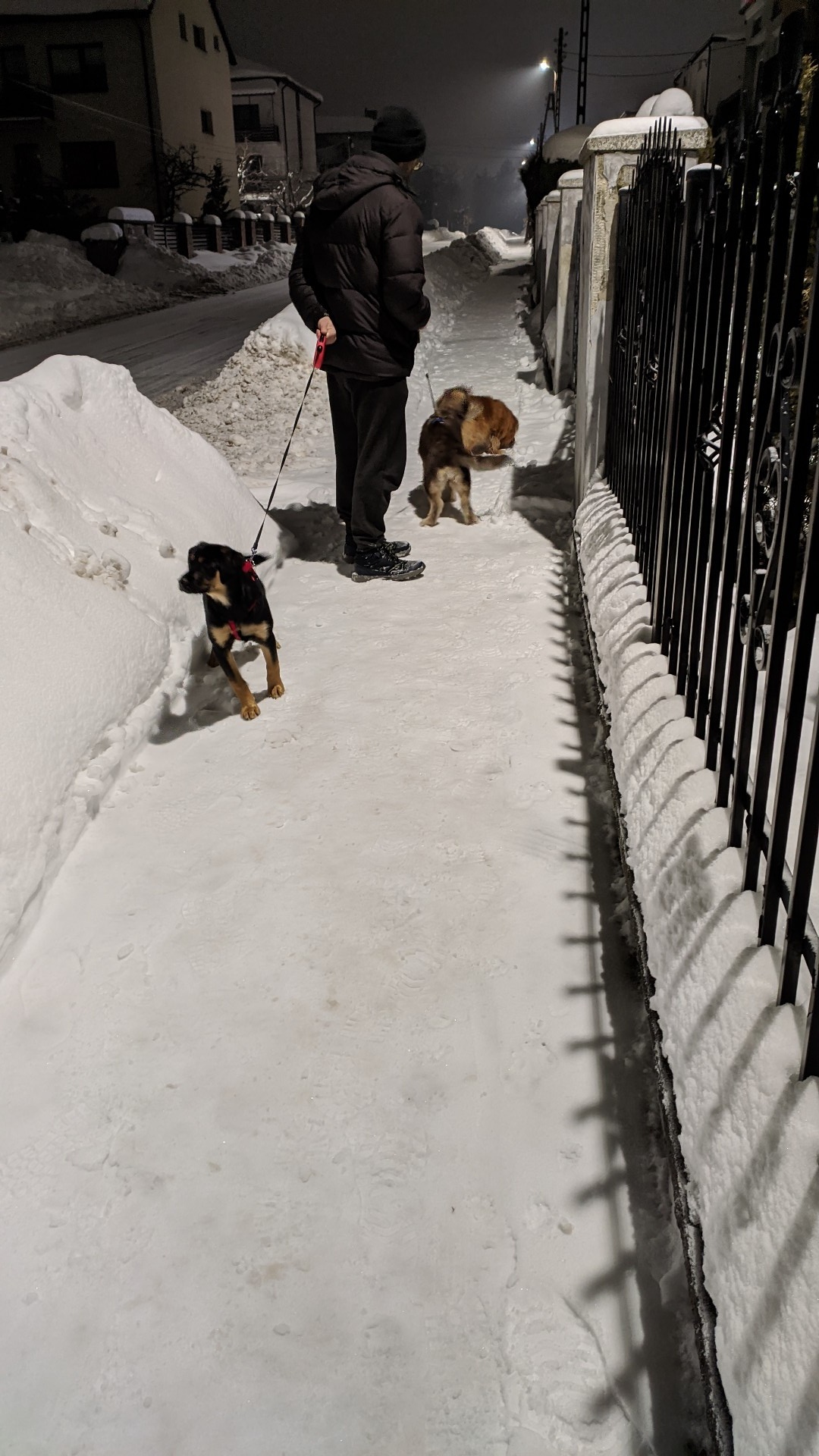 74bc06b7-4c29-4369-82eb-05a5bddce4ff