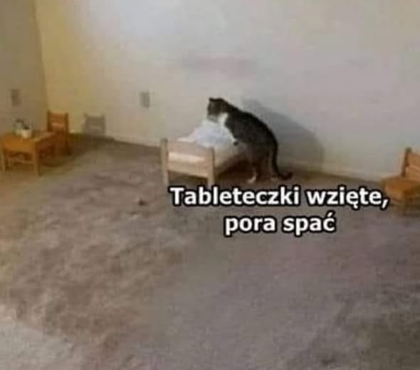 8bc971af-91ba-4d34-a836-c4e80a6f13c1