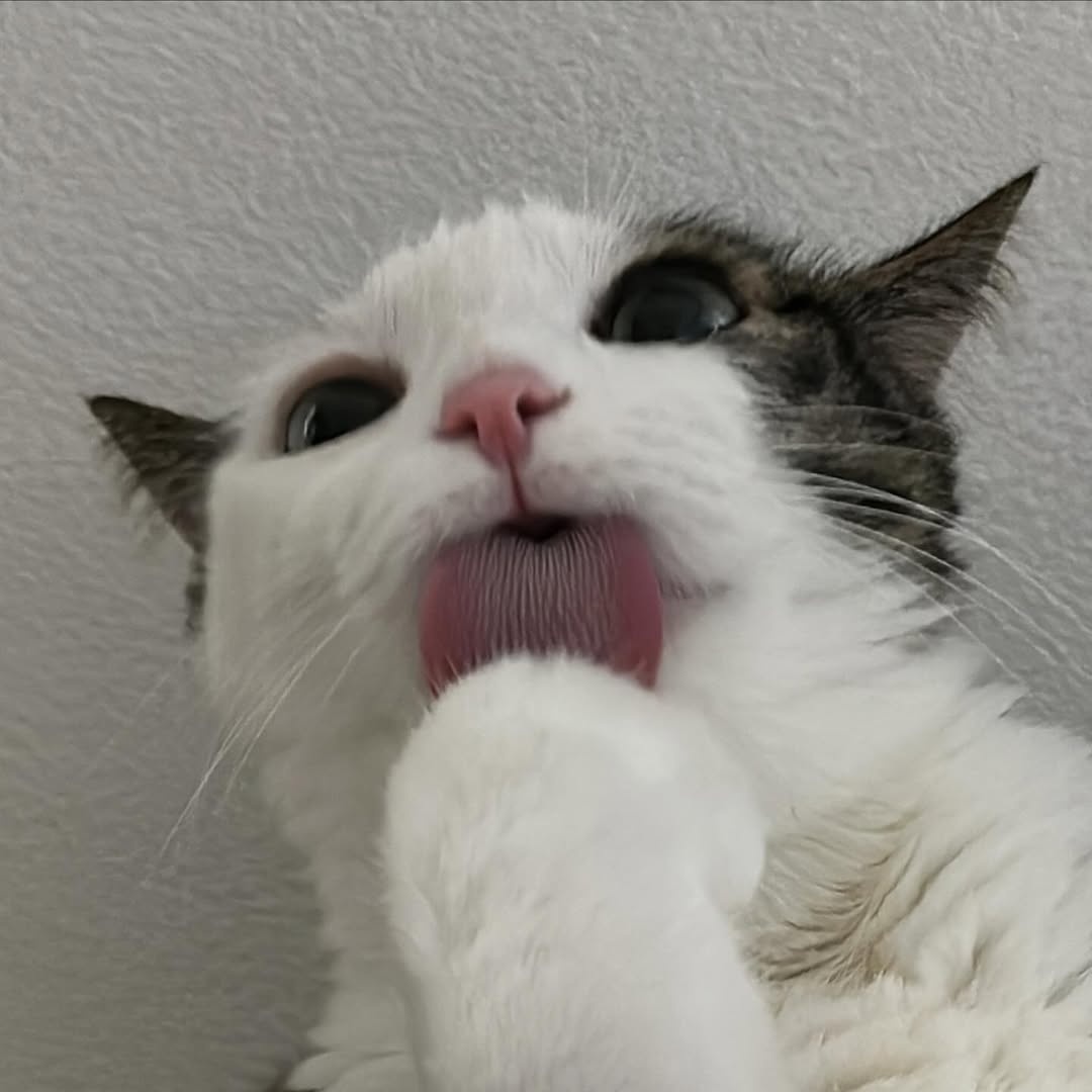 6f925cee-83c1-4663-88e5-46efe58111a6