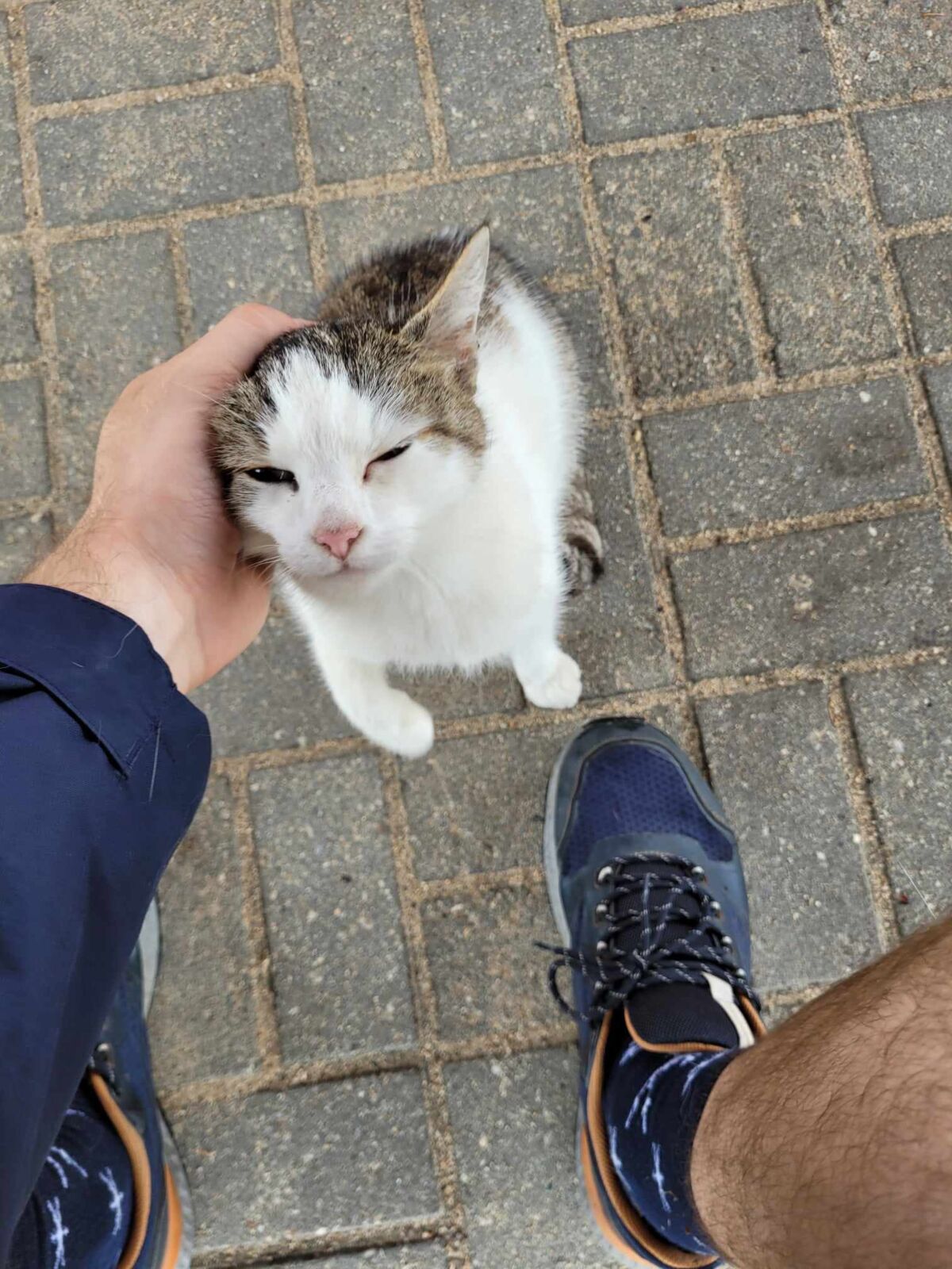 f704c0c1-3ca0-4478-8a07-02a79c7c517e