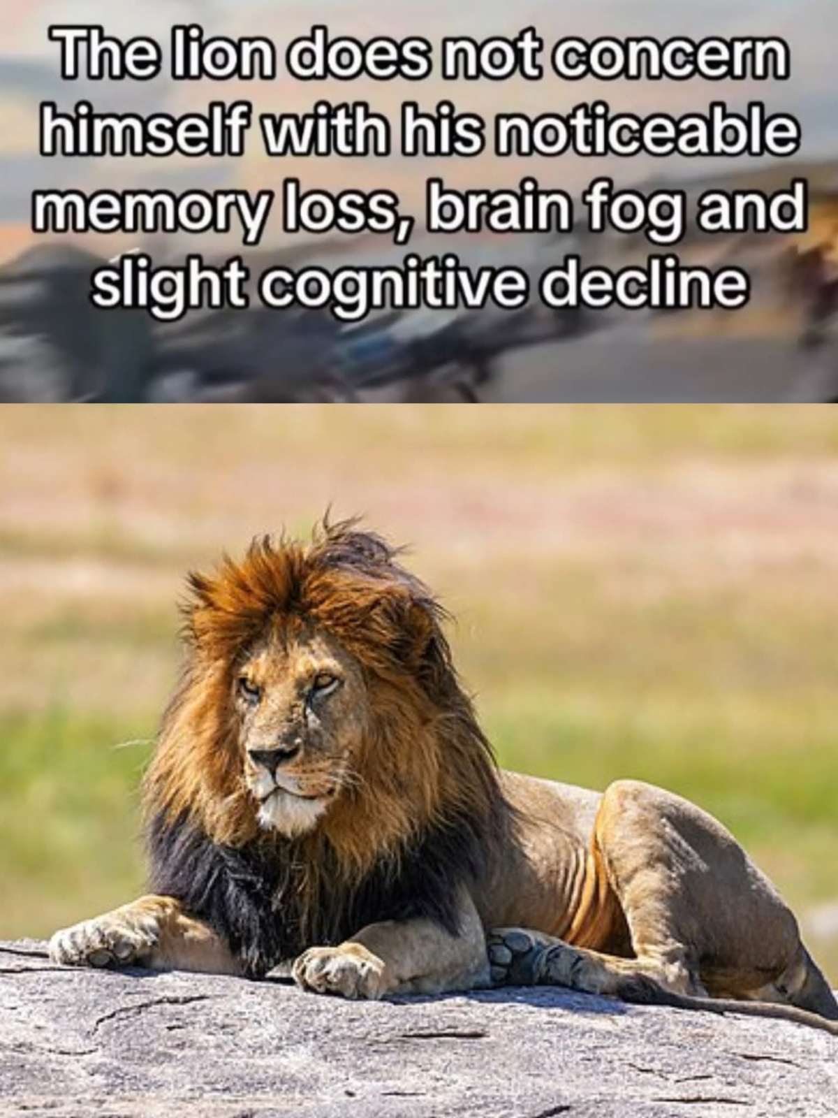 8095e252-596d-44a2-8889-c238f4de14e6