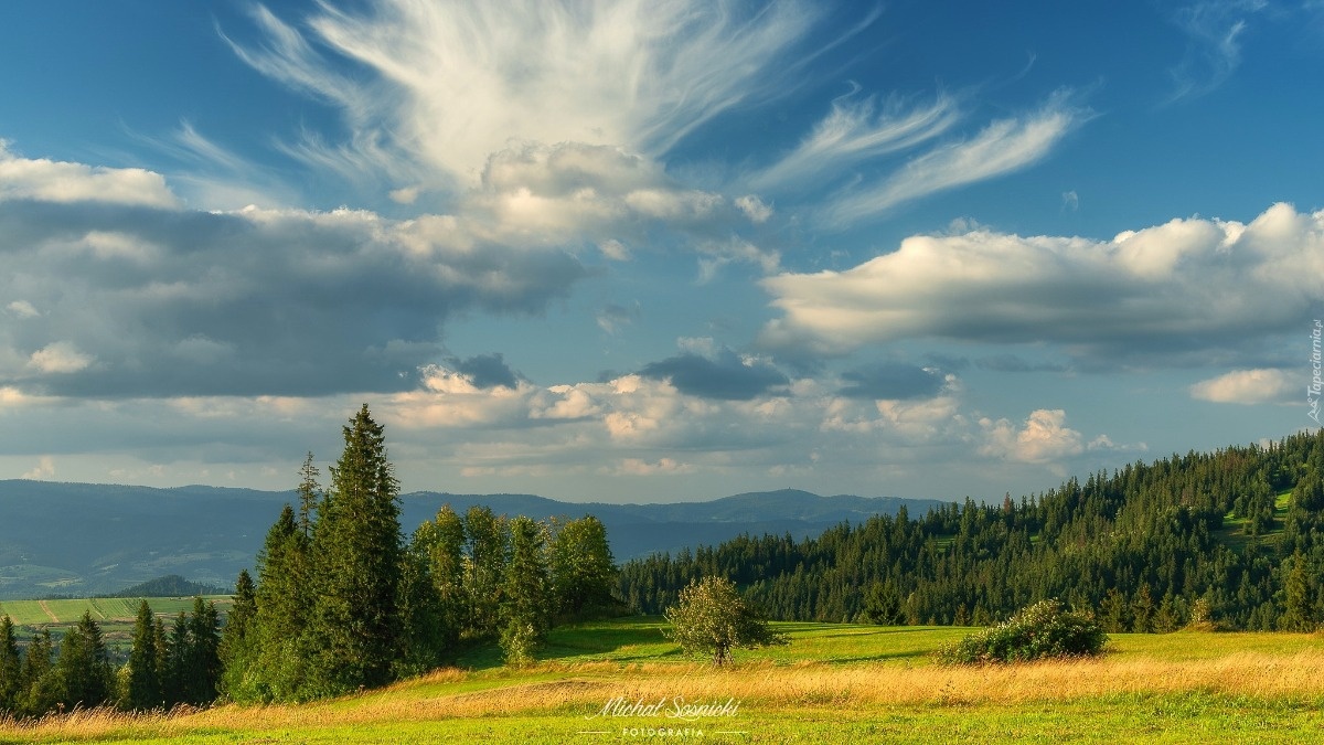 2565d748-0f01-47d4-8b8f-15bb9cbc20e9