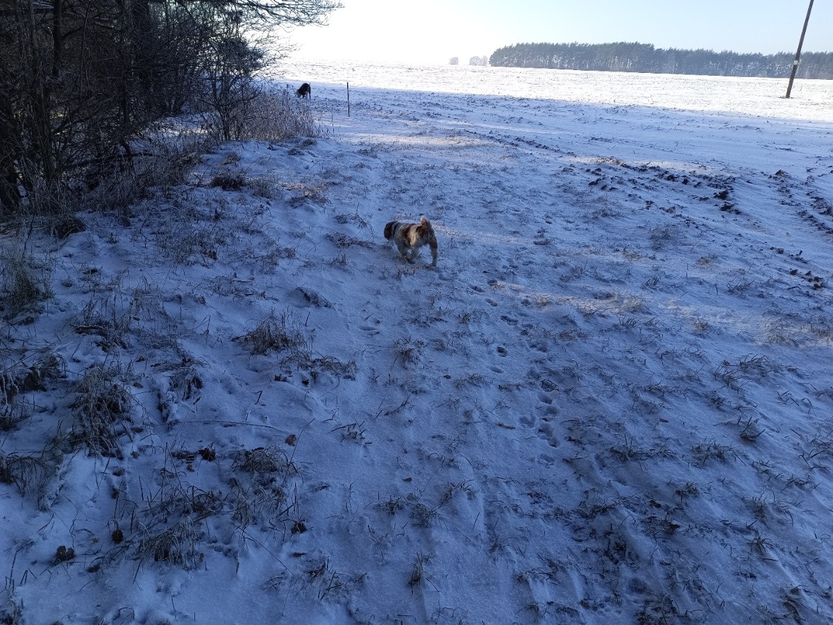 fdb96ec5-1030-4e58-ba25-6c2bbdf536c1