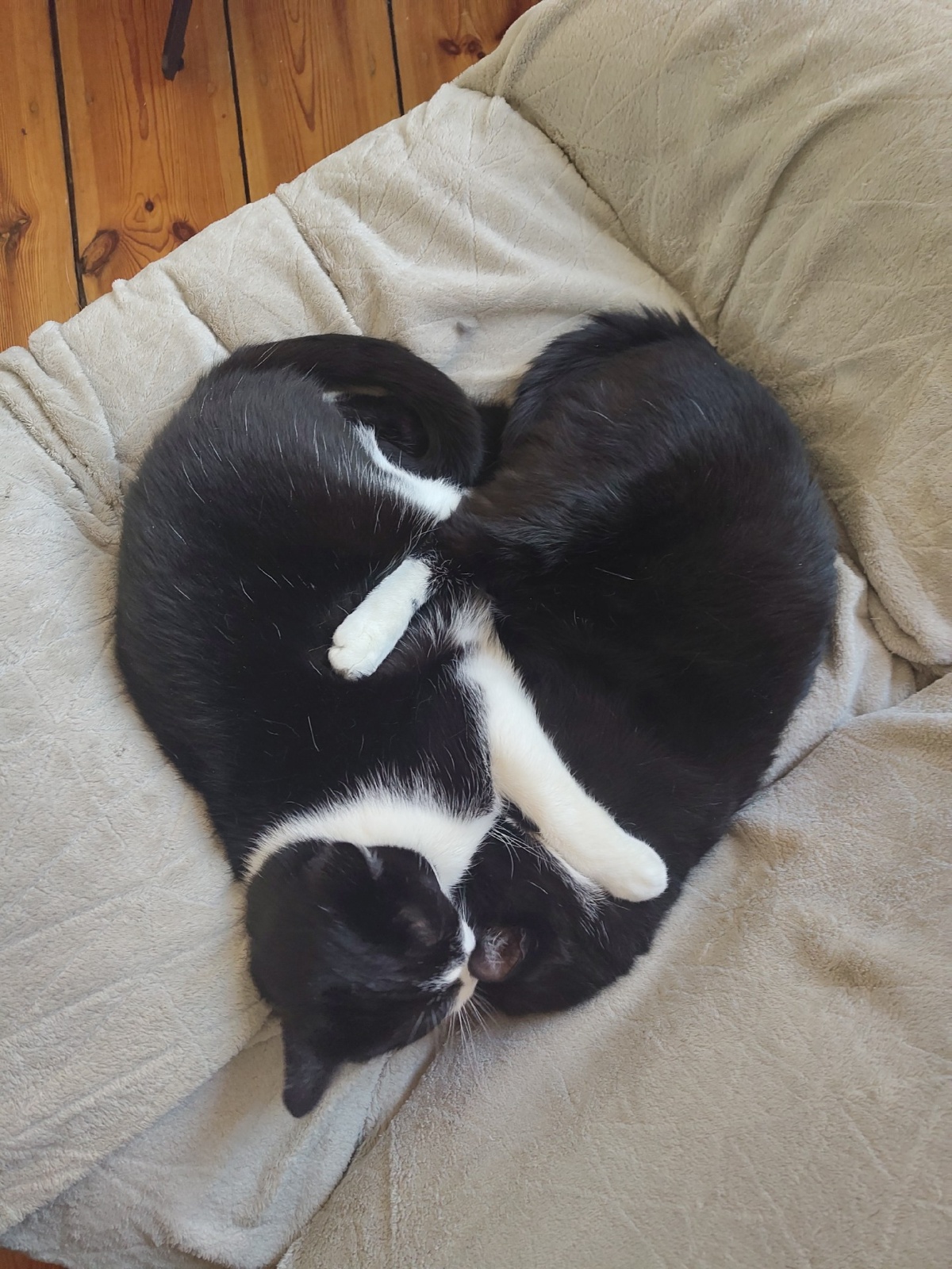 2bc9de5e-6f4b-439a-a285-0e5449c655c0