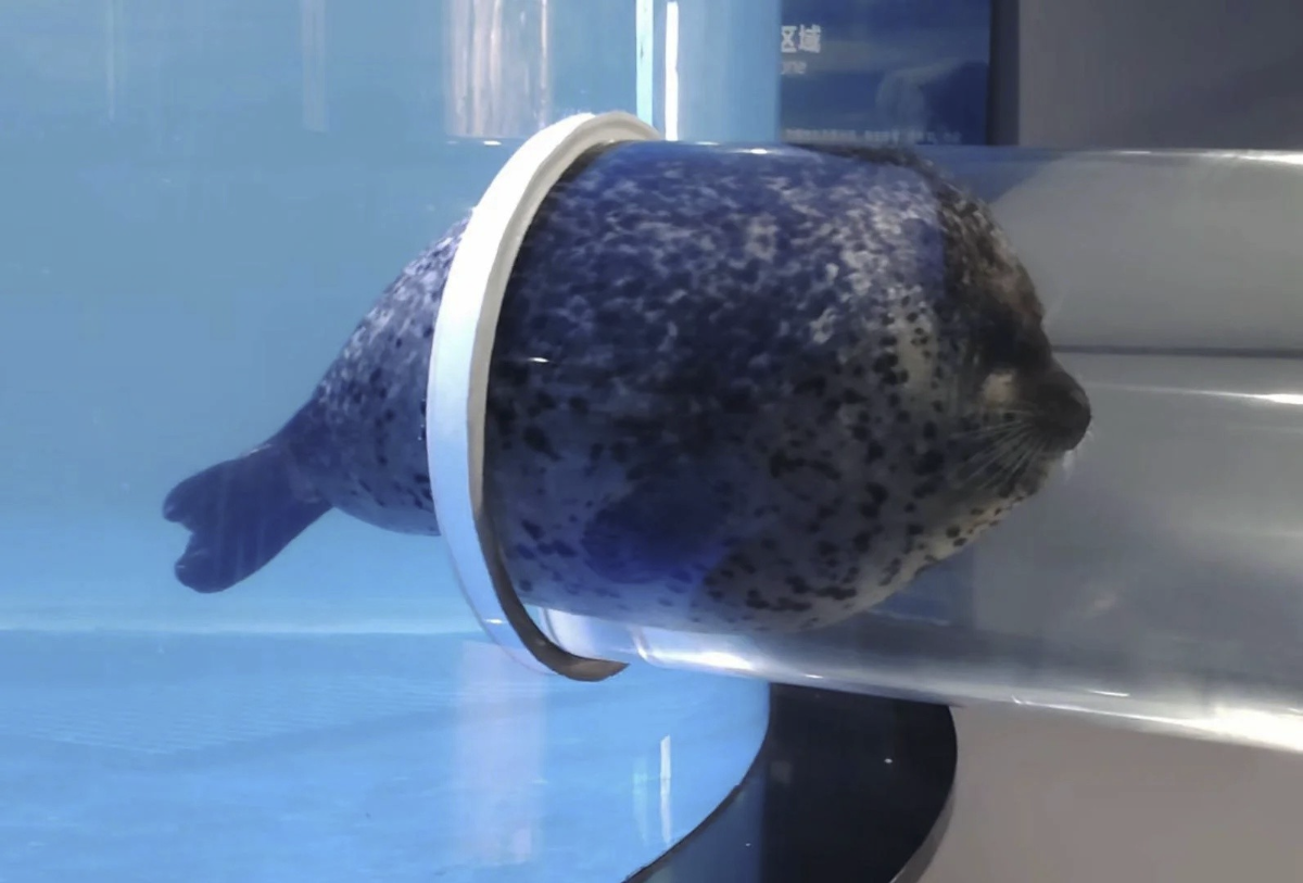 3913cf36-97ee-4cd0-95e8-21b43e207236