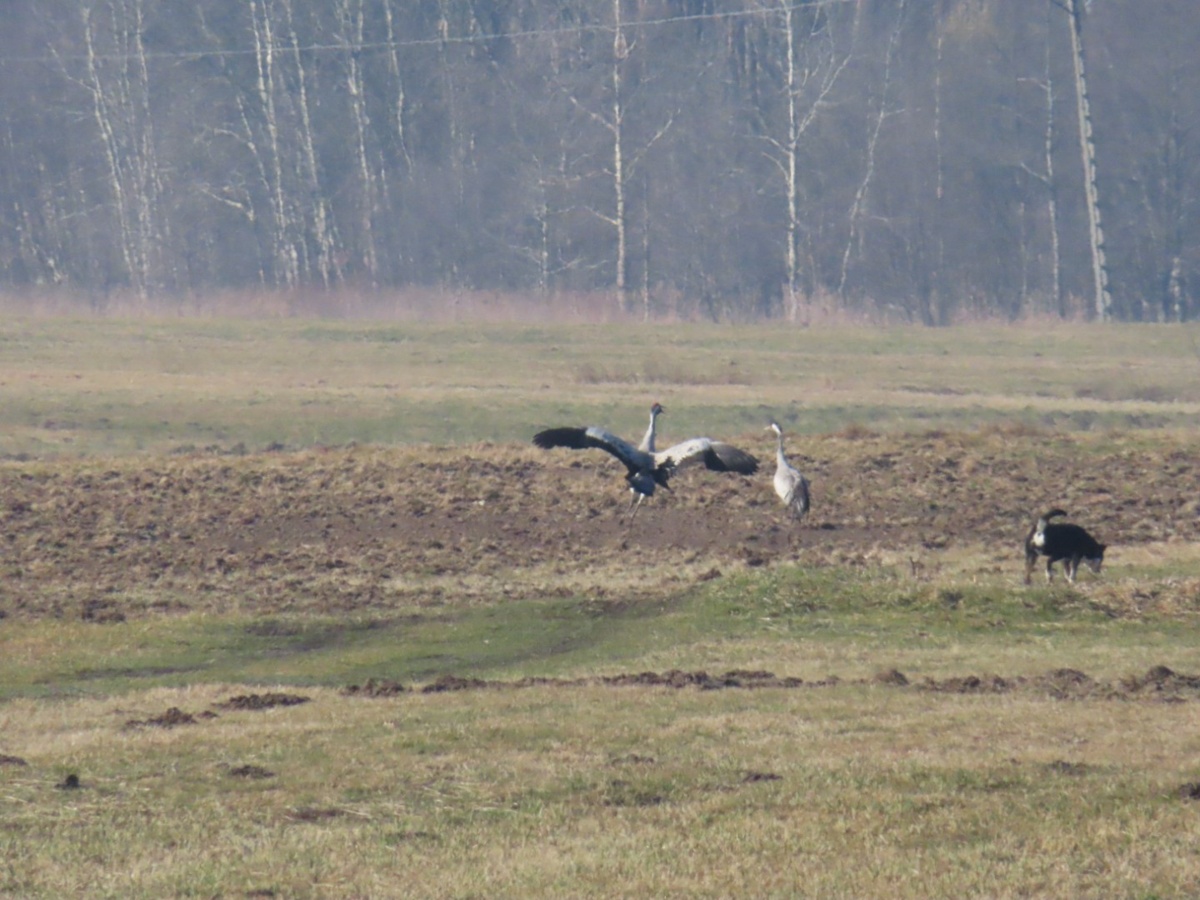 96d522c3-1e8d-4425-8834-8f9471d60b42