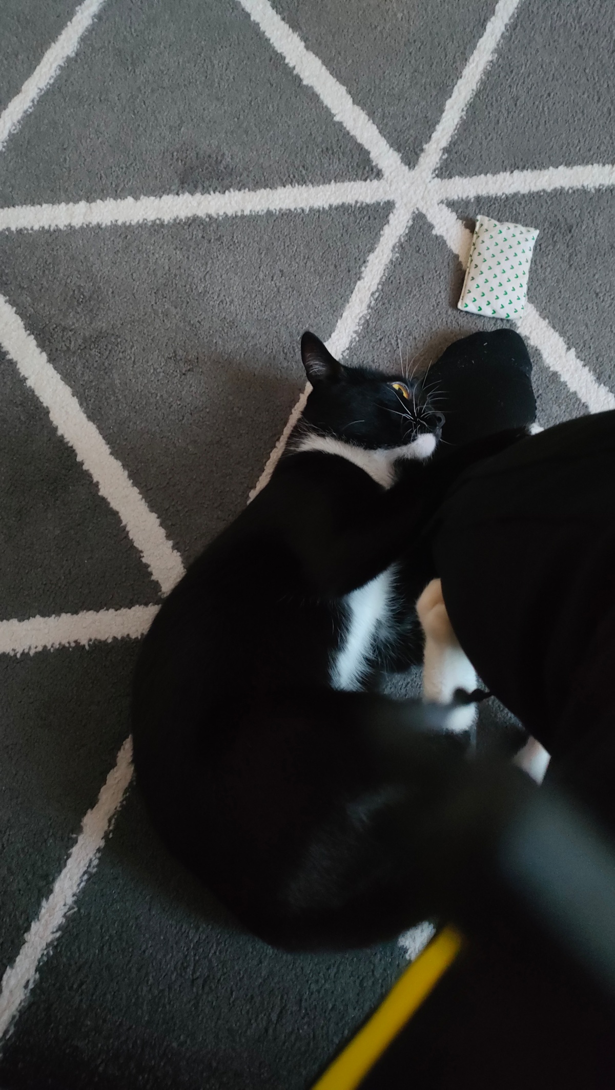 ad66be1b-7ac2-46cd-bcce-5105505e5988