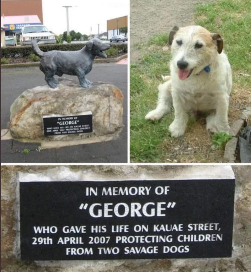 444181ee-75b7-4ea8-9665-c6be38d6a48f