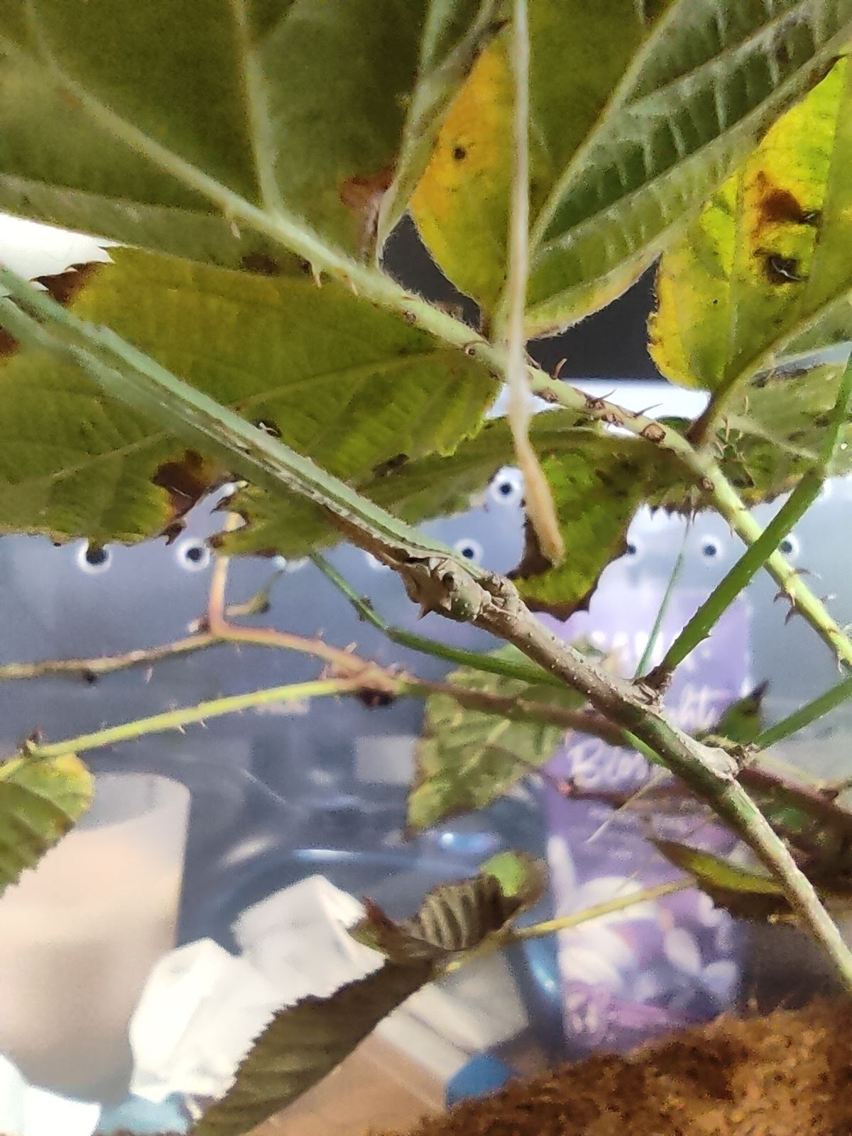 79826595-289c-420a-a22f-19eadfb0c1ab