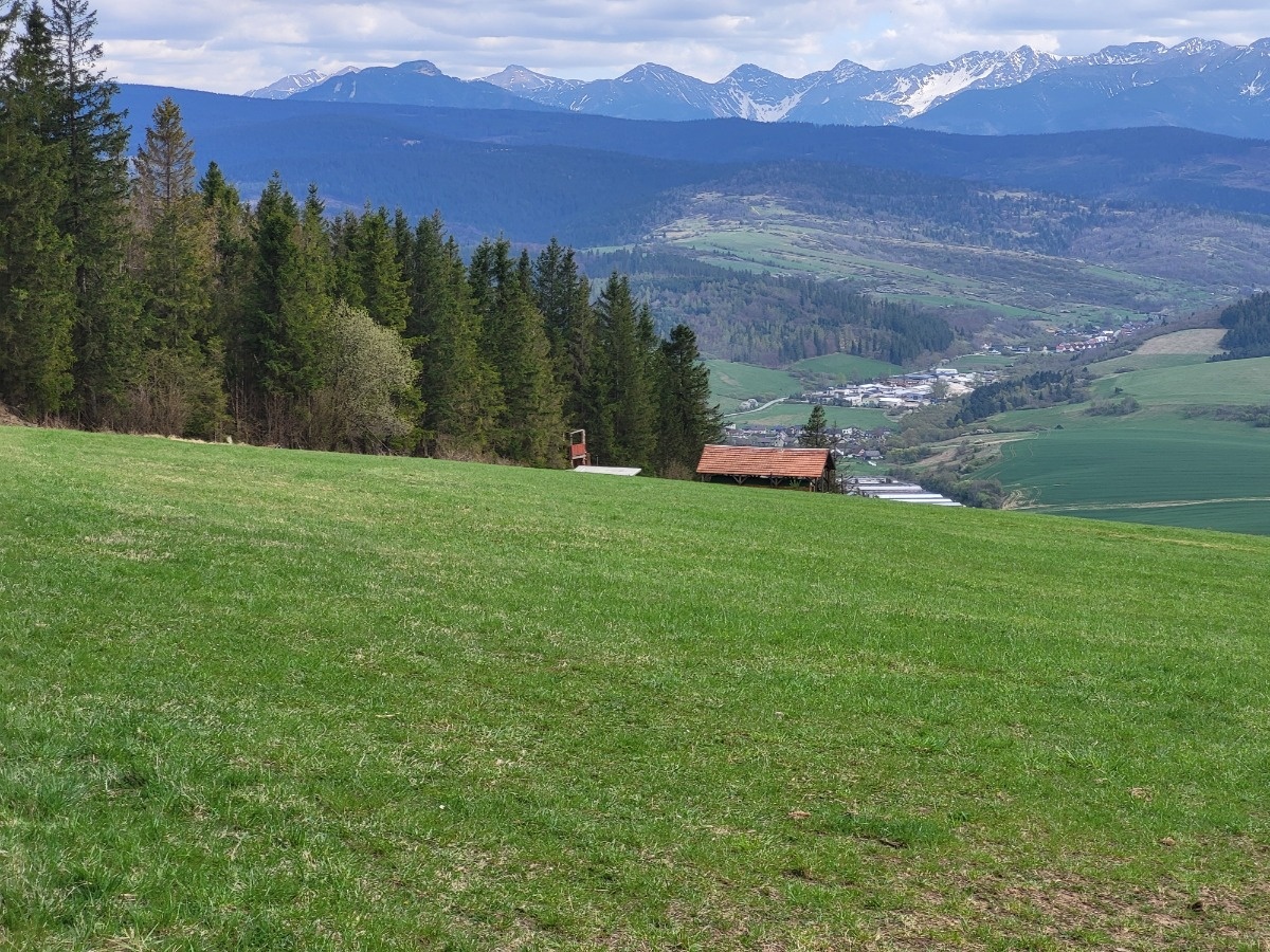 11a0ae80-9276-4b37-baff-5b12dc8dd7f9