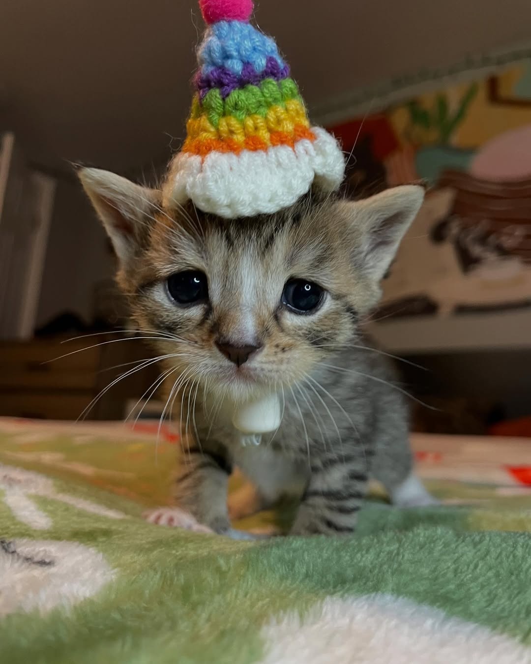 3c623305-33b0-4fbb-9f2b-cb47256a81cf