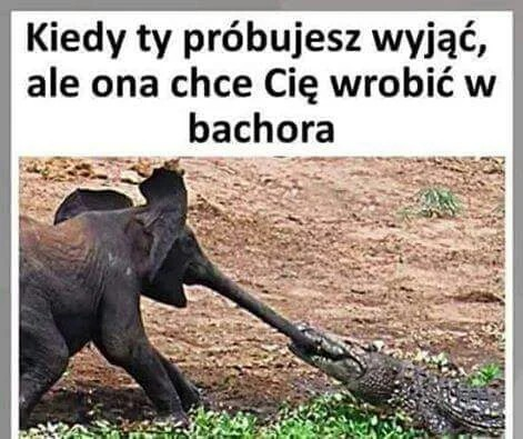 b6a97b4a-b0f4-4a58-ba0c-def3d3cbfa22