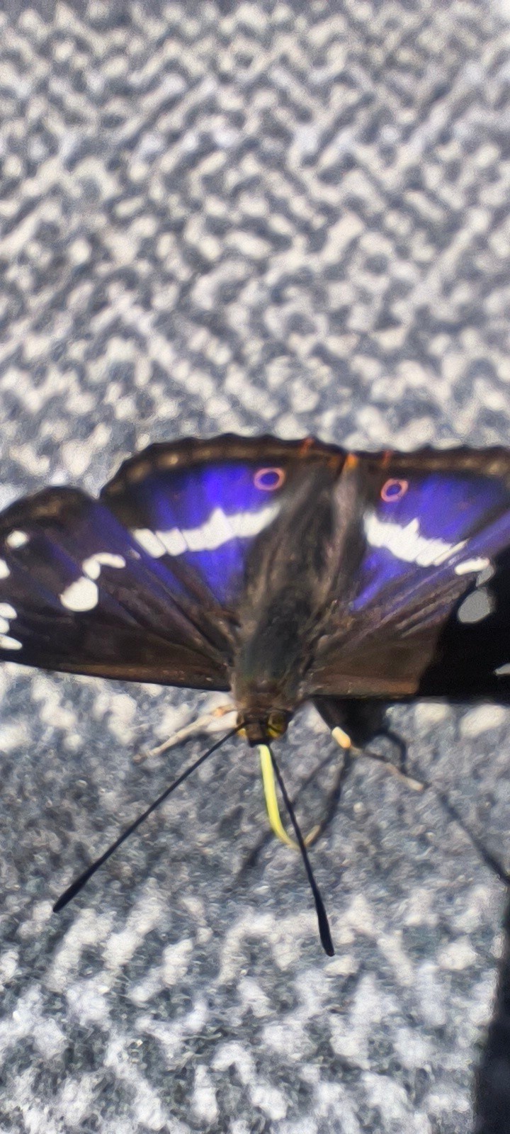 67ae3185-fef9-45a4-872a-7388f5972d69